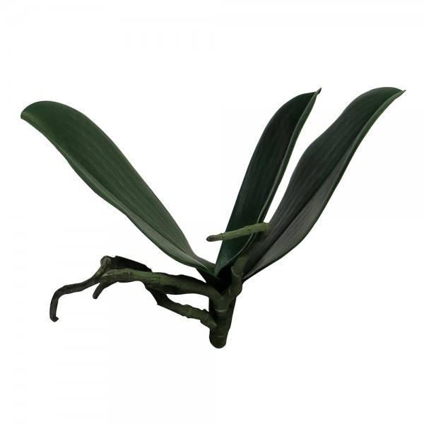 Kunststoff Phalaenopsis leaf Bora ca. 13 x 7 x 18 cm